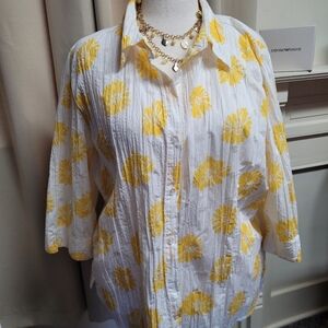 d & co. Demin & Company Sheer Button Down Shirt XL